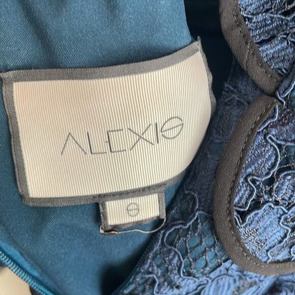 Alexis Mariette Dress in Navy Lace - Picture 10 of 16